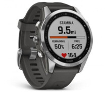 Купить - смарт-часы  Смарт-часы Garmin Fenix ​​7S Silver with Graphite Band (010-02539-00/01)