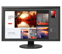 Купить - монитор  Монитор ЖК 27" Eizo CS2740 IPS 3840х2160 поворотный экран Черный