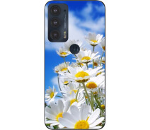Купить - чехол для смартфона  Силиконовый чехол SMTT для Motorola Edge 20 с картинкой Красивые ромашки