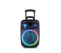 Купить - портативную колонку  Портативная акустика XPRO GZ-W1308 8" USB SD LCD FM (MER-15674_2174)