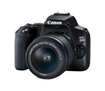 Купить - фотоаппарат  Фотоаппарат цифровой Canon EOS 250D 18-55 DC III 22.3x14.9 мм CMOS (3454C009AA)