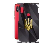 Купить - защитную пленку для смартфона  Защитная пленка StatusSKIN для Xiaomi Redmi Note 6 Pro Корпус Винил Герб 1