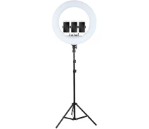 Купить - кольцевой свет  Кольцевая LED-лампа со штативом AC Prof LED RL-21 54см [75764]