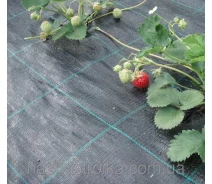Купить - агроволокно  Агроткань Agrojutex 100 (рулон 2,10х20)