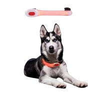Купить - ошейник для собак и котов  Собачий ошейник LED Light Petsaber Mini (17637)