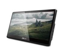 Купить - моноблок  Моноблок ASUS E1600WKAT-BD085M (90PT0391-M006R0)