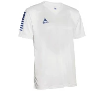 Купить - мужскую футболку  Футболка игровая Select PISA PLAYER SHIRT бело-синяя 624130-017 Размер 2XL (624130-017_2XL)