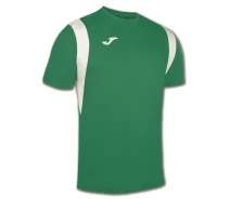 Купить - мужскую футболку  Футболка Joma DINAMO 100446.450 зелено-белая (100446.450_XL)