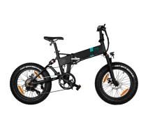 Купить - электровелосипеды  Электровелосипед FIIDO M21 Black [103973]