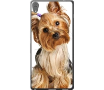 Купить - чехол для смартфона  Чехол 2d пластиковый на телефон Sony Xperia XA Ultra Dual F3212 Йоркширский терьер с хвостиком "930t-391-1529"