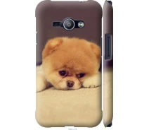Купить - чехол для смартфона  Чехол 3d пластиковый матовый на телефон Samsung Galaxy J1 Ace J110H Boo 2 "890m-215-1529"
