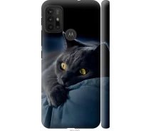 Купить - чехол для смартфона  Чехол 3d пластиковый матовый на телефон Motorola Moto G30 Дымчатый кот "825m-2320-1529"