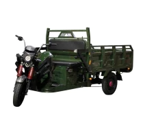 Купить - электроскутеры  Электрический мопед TRIGO JJ1.6 1000W/60V/50AH(DZM) (зеленый)