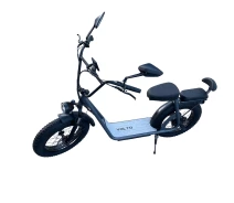 Купить - электровелосипеды  Фетбайк Двухместный VOLTO Cruise 20" (1000W, 20Ah) +NFC Серый