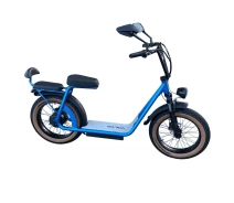 Купить - электровелосипеды  Фетбайк Двухместный VOLTO Cruise 20" (1000W, 20Ah) +NFC Голубой