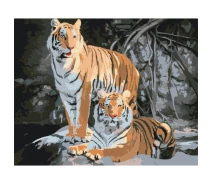 Купить - картину по номерам  Картина по номерам: дикие тигры 40*50 bs52793