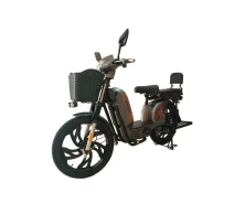 Купить - электроскутеры  Электроскутер Двухместный FADA RUTA (1000W, 60V,15Ah, 17") Серый