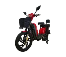 Купить - электроскутеры  Электроскутер Двухместный FADA RUTA (1000W, 60V,15Ah, 26") Красный