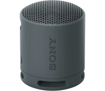 Купить - портативную колонку  Портативная акустика Sony SRS-XB100 Black (SRSXB100B) [104695]
