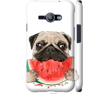 Купить - чехол для смартфона  Чехол 3d пластиковый матовый на телефон Samsung Galaxy J1 Ace J110H Мопс и арбуз "4665m-215-1529"