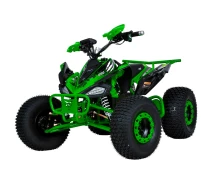 Купить - электроквадроцикл  Электроквадроцикл Profi HB-EATV1500B-5 (MP3) Green [104563]
