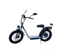 Купить - электроскутеры  Электроскутер электросамокат EL-VOLTO 20" 1000W 19Ah