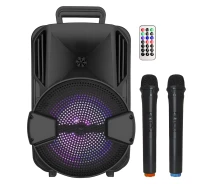 Купить - портативную колонку  Портативная колонка BIG BLUESKY 100W два радио микрофона, караоке