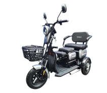 Купить - электроскутеры  Электротрайк FADA OLDi 600W Серый