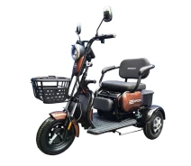 Купить - электроскутеры  Электротрайк FADA OLDi 600W Кофейный