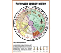 Купить - инвентарь для вывода маток  Календарь вывода маток с вращаюмся кругом АВВ-100