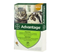 Купить - противопаразитарное средство для кота  Капли для кошек до 4 кг Адвантейдж для лечения и профилактики заражения блохами №1 Bayer