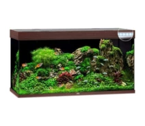 Купить - аквариум  Аквариум Juwel Rio 350 LED 121х66х51 см 350 л прямой (коричневый) (4022573077506)