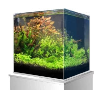 Купить - аквариум  Аквариум на 21 л ультрапрозрачный AMTRA NANOSCAPING TANK 36, 36x23x30 см - 5 мм (*) (A2001999)