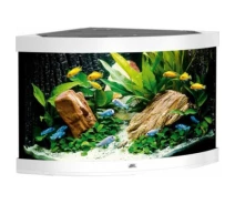 Купить - аквариум  Аквариум Juwel Trigon 190 LED 99x60x70 см 190 л угловой (белый) (4022573164503)