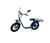 Купить - электровелосипеды  Фетбайк VOLTO Cruise 20" (1000W, 20Ah) +NFC +Грузовой багажник Голубой