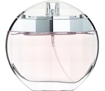 Купить - женскую парфюмерию  Парфюмированная вода Geparlys Estelle Vendome Infinite Pleasure Just Girl 100 ml (27-258475100)