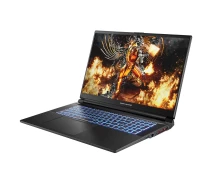 Купить - ноутбук  Ноутбук Dream Machines RG4050-17 (RG4050-17UA37)