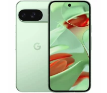 Купить - смартфон и мобильный телефон  Смартфон Google Pixel 9 12/128GB Wintergreen (Global Version)