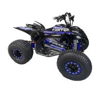 Купить - электроквадроцикл  Квадроцикл аккумуляторный FORTE ATV1000I Черно-голубой (139374)