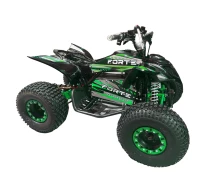 Купить - электроквадроцикл  Квадроцикл аккумуляторный FORTE ATV1000I Черно-зеленый (139375)