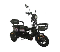 Купить - электроскутеры  Электротрайк FADA OLDi MAX 1100W Фиолетовый (2511928761)