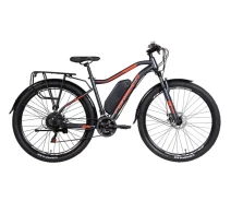 Купить - электровелосипеды  Электровелосипед Formula 29 ST eHEAVY DUTY AM DD рама-18 36B 12.5 500Вт задн. Коричневый (ELB-FR-29-184)