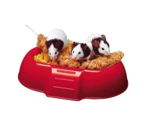 Купить - кормушку и поилку для грызунов  Пластиковая кормушка Ferplast Dada 4706 Feeding Bowl для грызунов