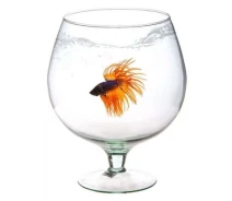 Купить - аквариум  Аквариум Aquarium Ukr Бокал 2 л (2000981059248)