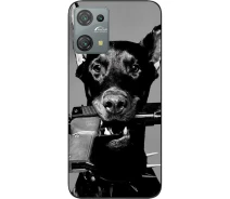 Купить - чехол для смартфона  Силиконовый бампер SMTT для Oscal C30 Pro с изображением Пес