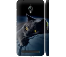 Купить - чехол для смартфона  Чехол на Asus Zenfone Go ZC500TG Дымчатый кот "825m-160-70447"
