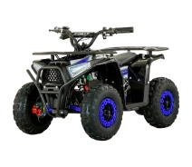 Купить - электроквадроцикл  Электроквадроцикл Forte FFA1000 Blue [130964]