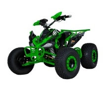 Купить - электроквадроцикл  Электроквадроцикл Profi HB-EATV1000B-5 (MP3) Green [130971]