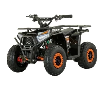 Купить - электроквадроцикл  Электроквадроцикл Forte FFA1000 Orange [130968]