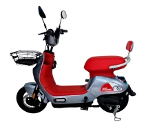 Купить - электроскутеры  Электроскутер E-Titan City 14" Red-Gray (14EC-005176) [130980]